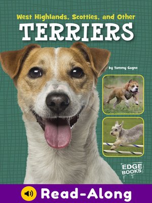 cover image of West Highlands, Scotties, and Other Terriers